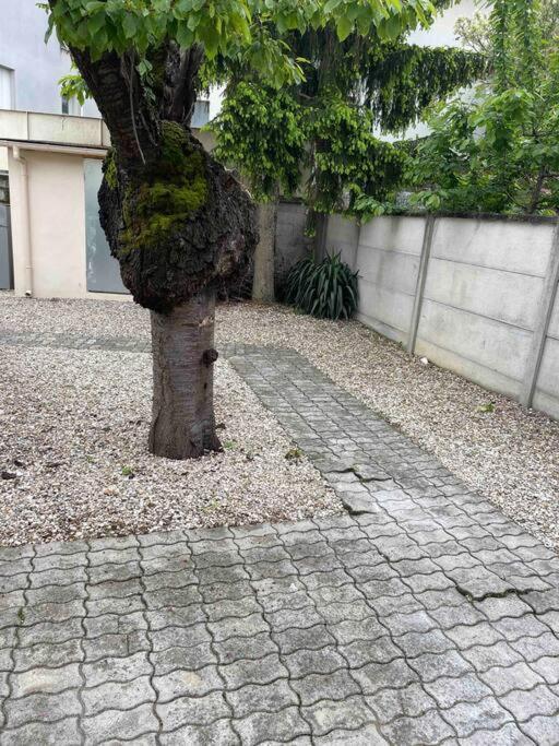 Studio Tout Confort, Au Pied De Toute Commodite, 2 Créteil Exterior foto